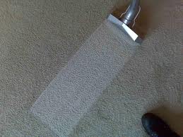 Carpet cleaning image 1